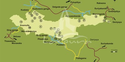 Carte de sinharaja Sri Lanka